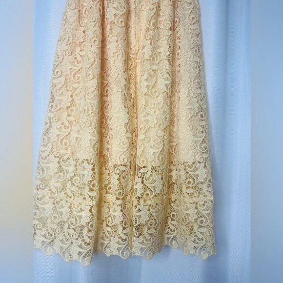 H&M Lace Midi skirt - Picture 6 of 12